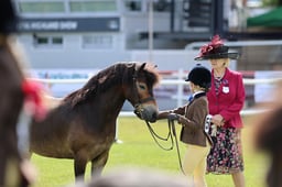 C46_3340 2026