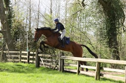 61 Shropshire Horse Hirelings