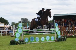 CLH312 Foxhunter  1.20m Open