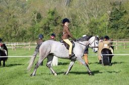 C19_0425 2026