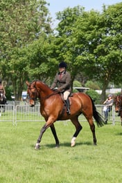 C33_1342 2026