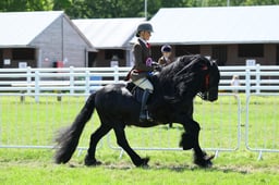 H41_3949 2026