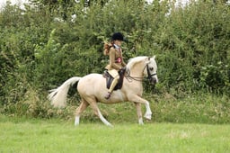 098-95 M&M Ridden Championships