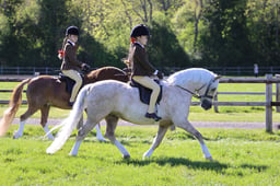 83 HOYS M&M First Ridden
