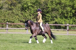 75 M&M Novice First Ridden
