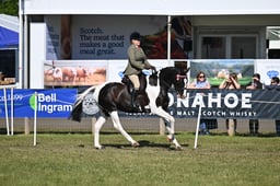 A47_1204 2026