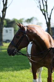 C33_0134 2026