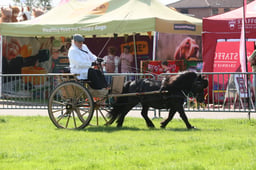 E33_5352 2026