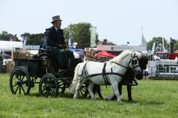 E33_4817 2026