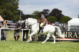 E30_1692 2026