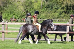 74 M&M Novice Lead Rein