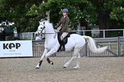 A30_0677 2026
