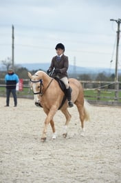 Class 110 LIHS Ridden 19-23yrs