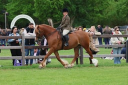 S30_3839 2026
