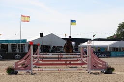 Tuinman van de Lentamel