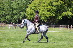 C19_1455 2026
