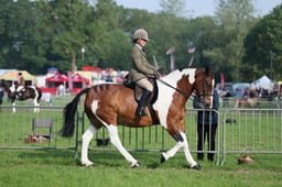 C34_0232 2026