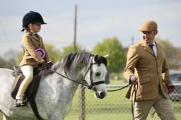 Supreme Pony Championships