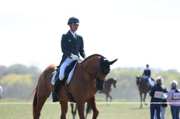 A16_6431 2026
