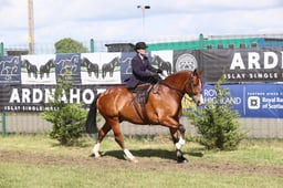 E46_0900 2026