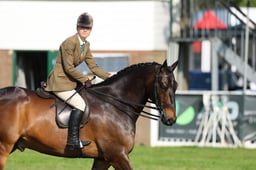 H34_5433 2026