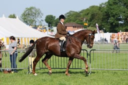 C33_0603 2026