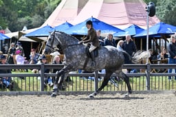 A29_2287 2026