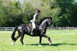 M19_0792 2026