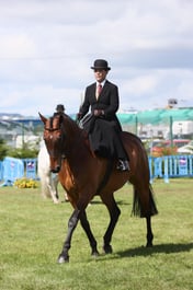 E46_0931 2026