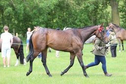 J36_6731 2026
