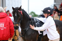 H31_1883 2026