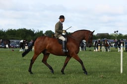 E36_0407 2026