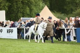 E30_3751 2026