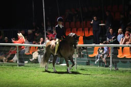 12 M&M JNR Open Ridden Small