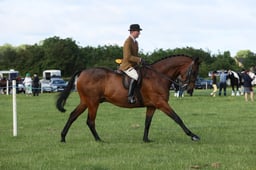 E36_0461 2026