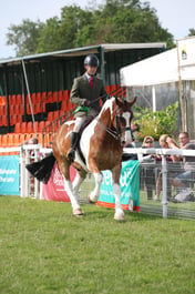 M43_5719 2026