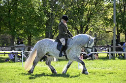 S19_8524 2026