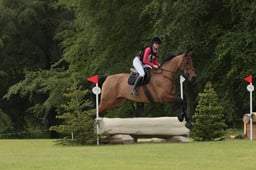 S40_8603 2026