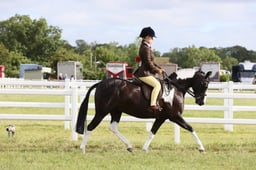 E42_0280 2026