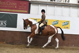 45-42 RIDDEN PIEBALD & SKEWBALD CHAMPIONSHIP