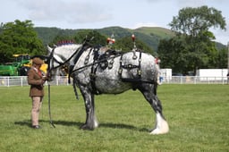 M43_5910 2026