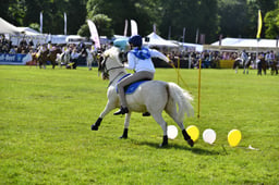 R39_2008 2026