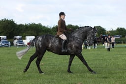 E36_0436 2026