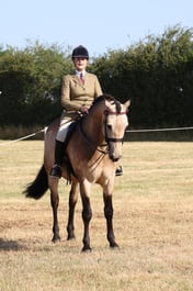 E60_0265 2026