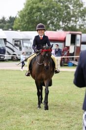 116B First Ridden Show Pony