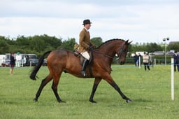 E36_0617 2026