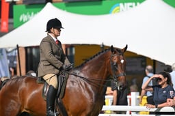 144 Lightweight Hunter