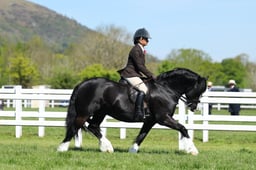 H19_0368 2026