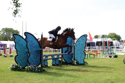 H317 Senior British Novice