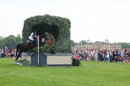 J24_0562 2026